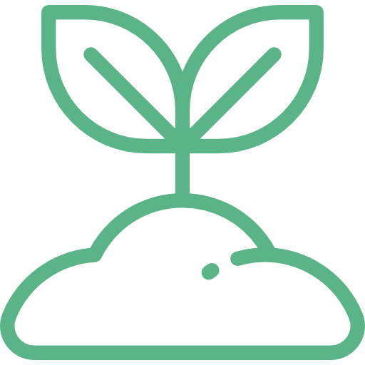 Jardin & Extérieur 